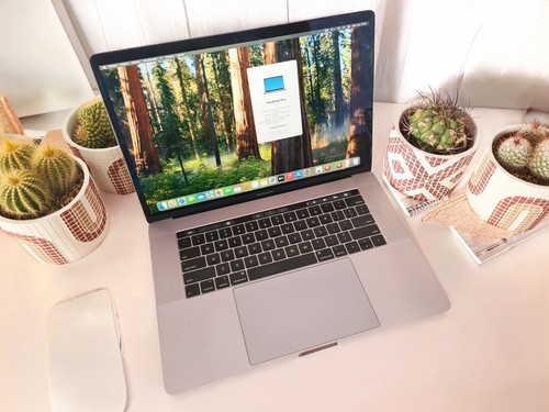Apple macbook pro 2 - pro, 15"