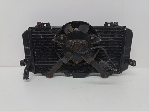 Radiatore yamaha fzr genesis - yamaha,
