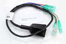 KAWASAKI CABLAGGIO LUCI