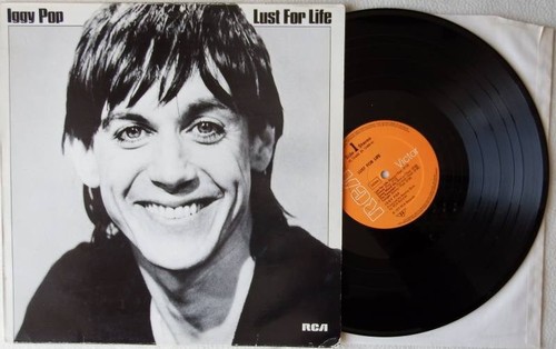 Iggy pop lust for - iggy,