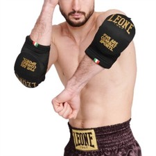 Paragomiti Leone Leone