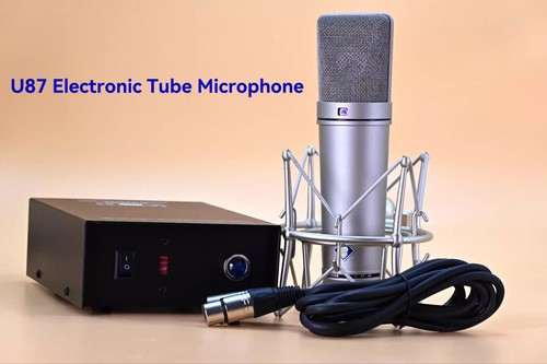Microfono professionale - , a