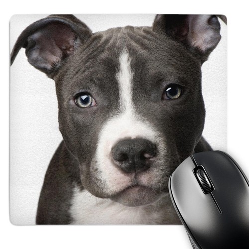 3drose american pit bull - 3drose,,