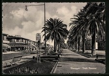 Cartolina Viareggio, Viale