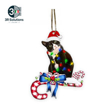 Affascinante Gatto Nero