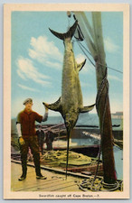 Cartolina ~ Pesce spada catturato fuori Capo Isola Bretone, Nuova Scozia, Canada