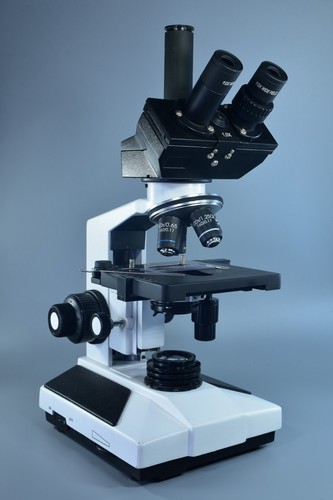 Microscopio composto