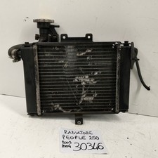 RADIATORE KYMCO PEOPLE 250