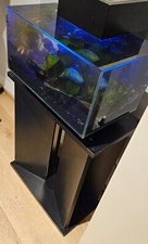 acquario completo usato con pesciolini e  mobile, in buone condizioni luce led