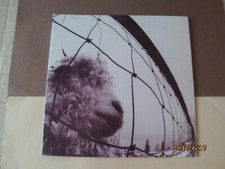 Pearl jam 2016 nuovo - pearl,