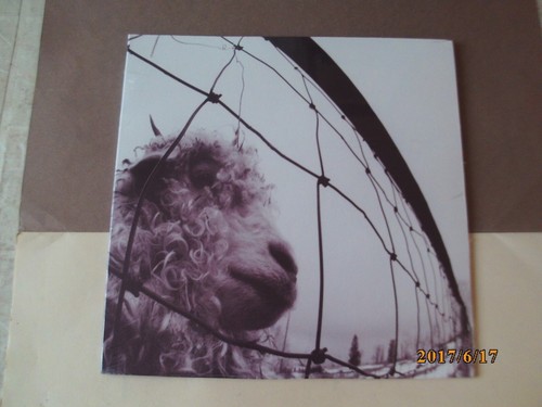 Pearl jam 2016 nuovo - vs., lp