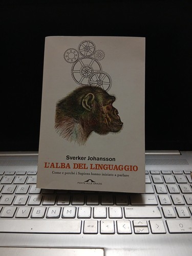 Alba del linguaggio come - l'alba,