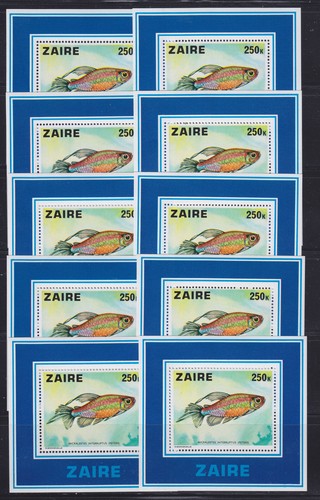 Congo zaire blocco 17 - zaire,