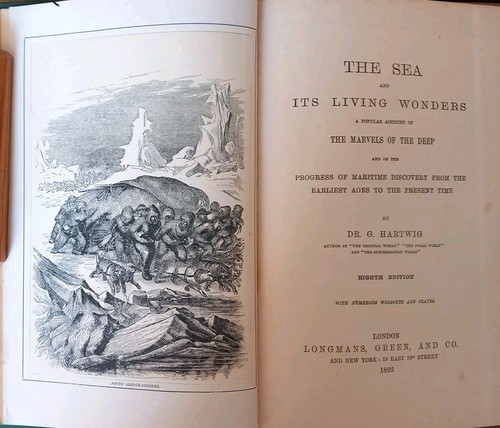 Libro the sea and its - sea,