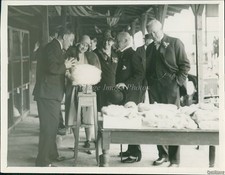 1929 duca duchessa - e, york