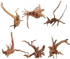 Radice per acquario. Spider