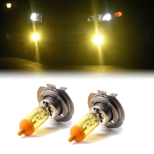Lampadine xenon gialle - xenon, h7
