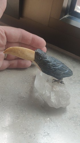 Toucan carved stone on - toucan,