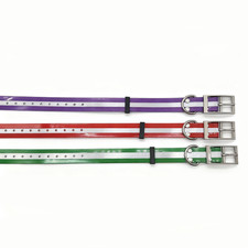 Cinghie Collare Riflettenti 1"