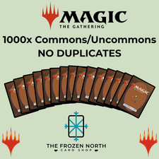 1000 MTG Magic the Gathering