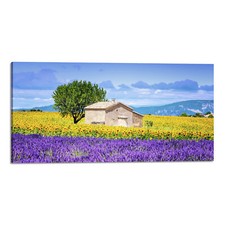 Quadro Stampa su Tela con