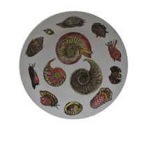 Piatto conchiglia vintage Piero Fornasetti Conchiglie 9,5" Italia anni 60-70