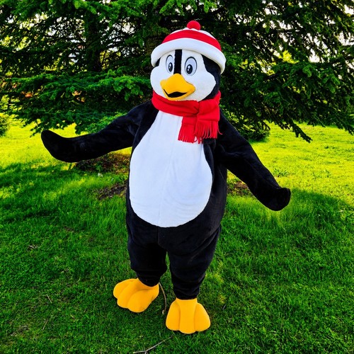Costume mascotte pinguino - costume,