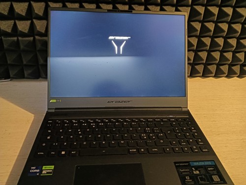 Gaming portatile - pc,