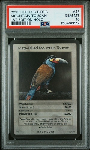 Tucano montagna dal - montagna,