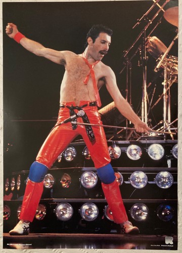 Freddie mercury 1984 poster - mercury,
