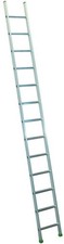 SCALA FACAL PRIMA DL81 ALLUM