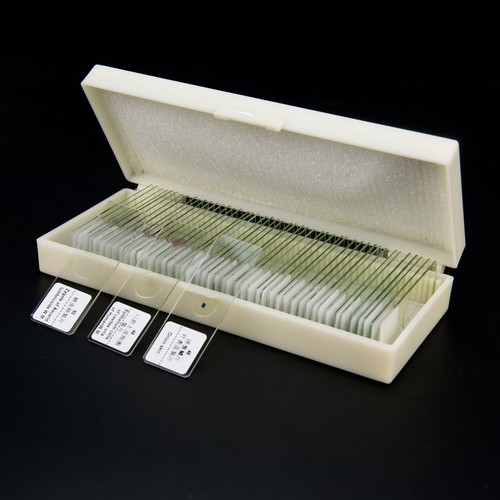 50pcs microscope prepared - ,