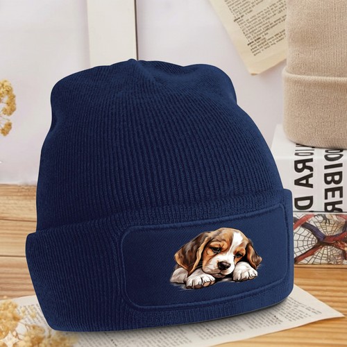 Carino beagle cucciolo cane - carino,