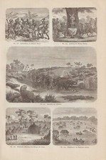 Quadri Di Africa Völker