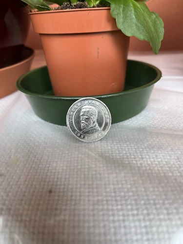 Moneta grandi protagonisti - moneta,