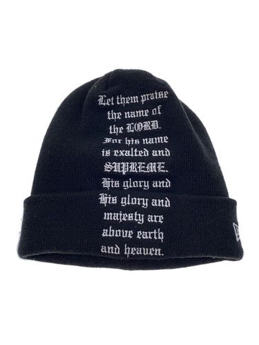 Supreme new era 23aw salm - 23aw,