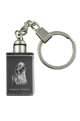 Cane pastore bergamasco - cane,
