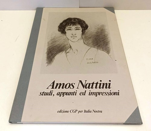 Amos nattini studi appunti - nattini,