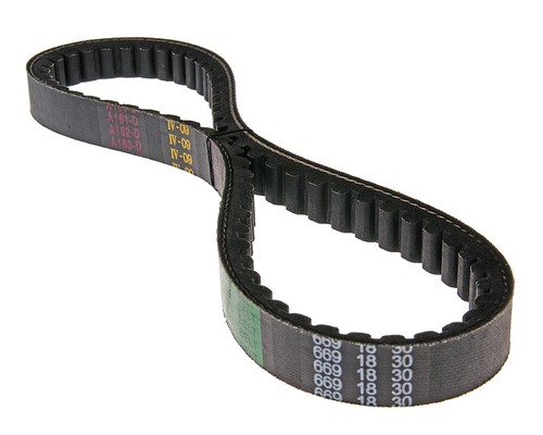 Cinghia trasmissione px50 per - trasmissione,
