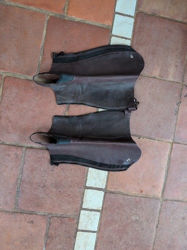 Ariat close contour show - show, chaps