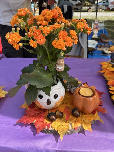 Decorazione autunnale - decorazione,