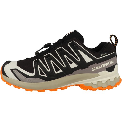 Salomon pro v9 gtx - xa, 3d