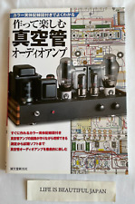 Amplificatore audio a valvole