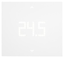 Termostato Digitale 02913