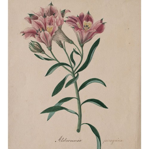 Johann nepomuk mayrhofer - johann,
