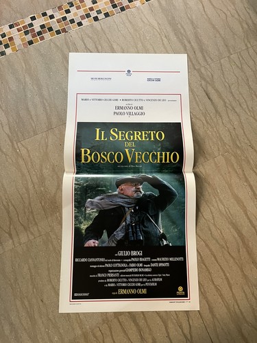 Segreto del bosco vecchio - segreto,