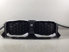 Griglia BMW X4 (G02, F98)