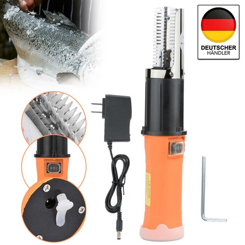 Squama pesce elettrico - squama,