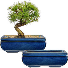 Set Di 2 Vasi Bonsai in
