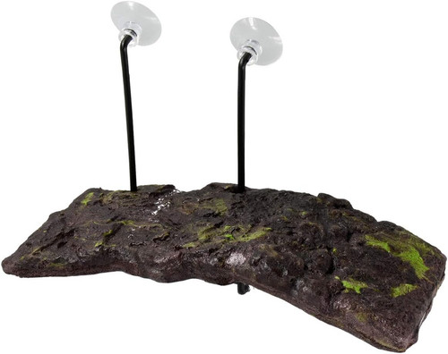 Isola turtle dock - -, bacino